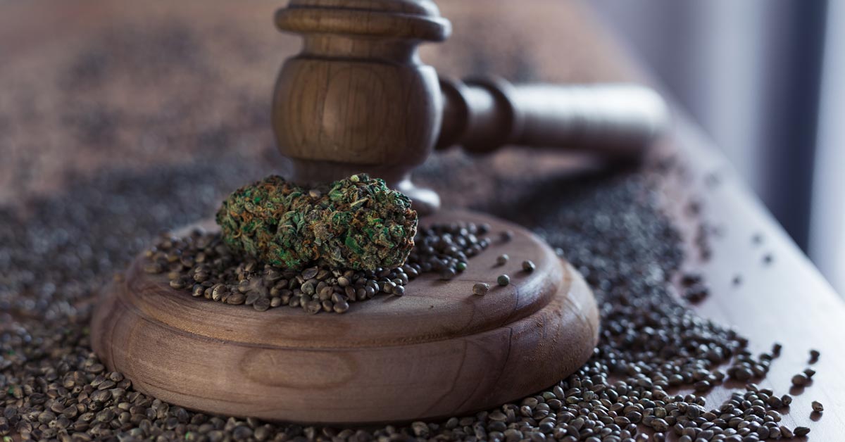 Is Legal Weed Coming to NC? When Will Weed be Legal in N. Carolina?